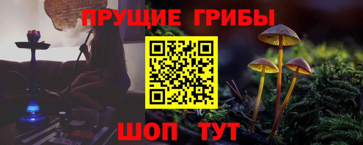 Галлюциногенные грибы Magic Shrooms  Псилоцибиновые грибы Magic Shrooms  Вход с VPN  где можно купить   Ишимбай 